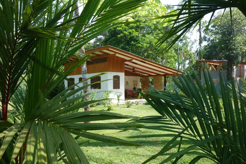 Los Delfines Lodge Puerto Viejo de Talamanca Zimmer foto