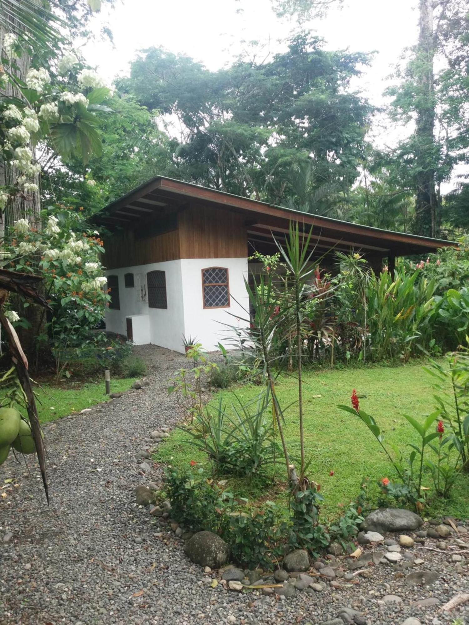 Los Delfines Lodge Puerto Viejo de Talamanca Exterior foto